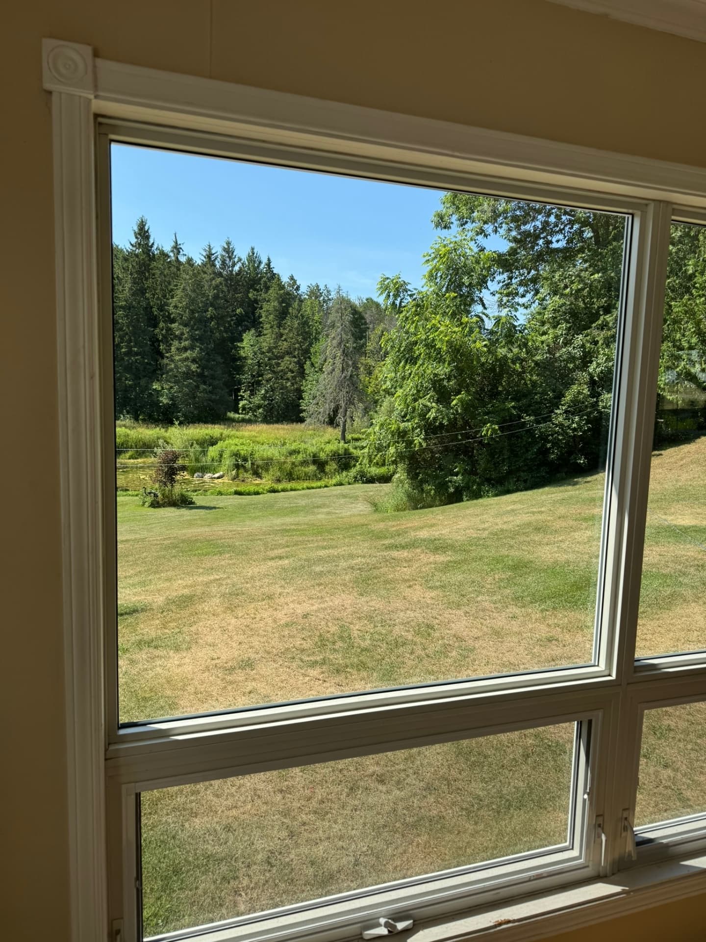 Large Double Pane Glass Installation in Mono, Ontario