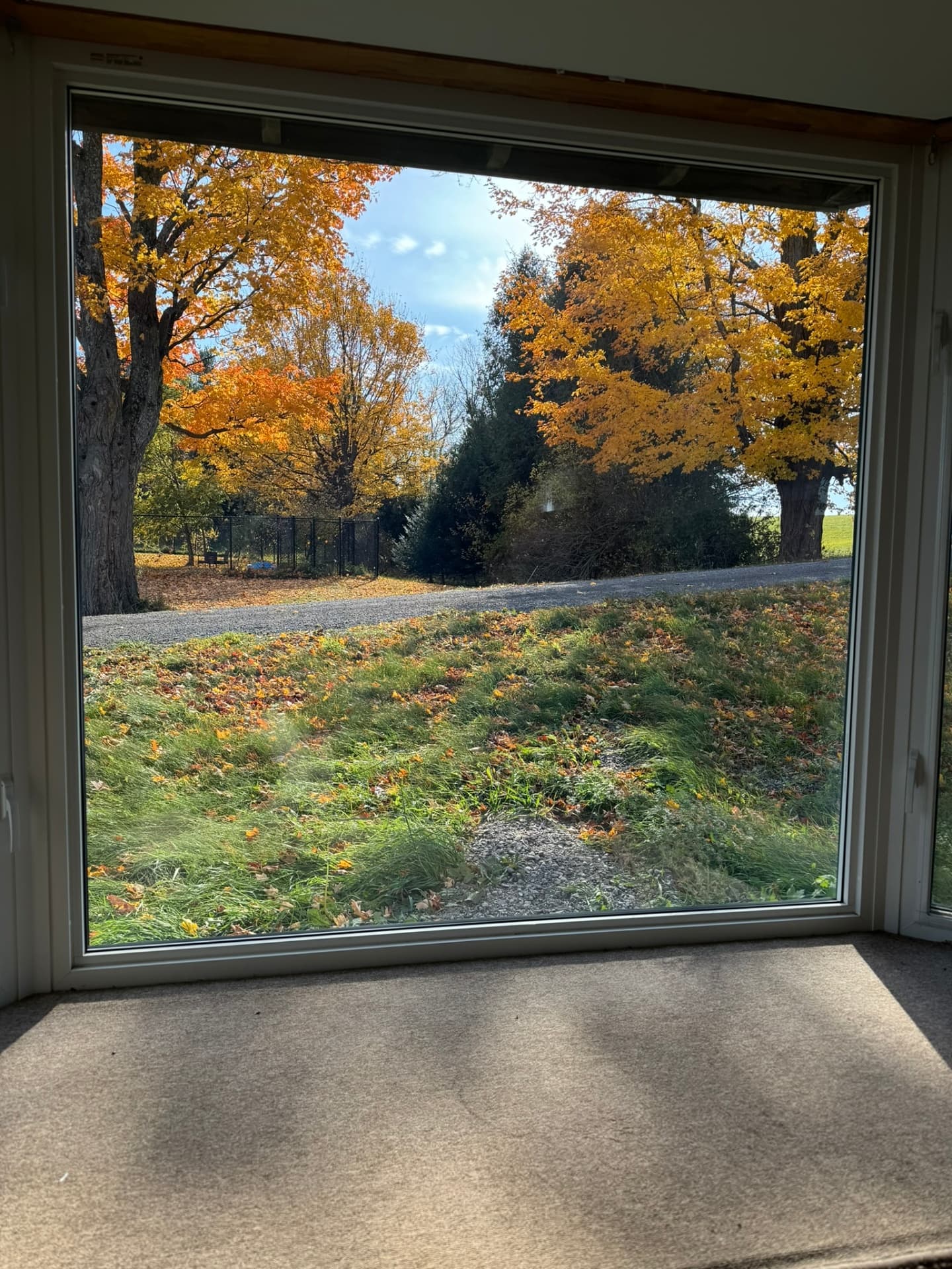 Large IGU Installation